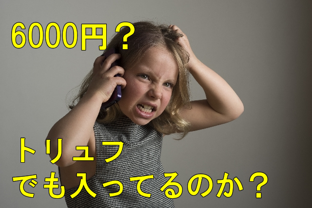 めちゃフル青汁をAmazonで買うと高い