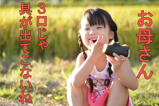 めっちゃたっぷりフルーツ青汁の置き換え