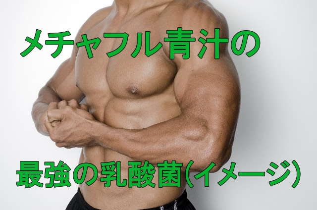 めっちゃたっぷりフルーツ青汁に入っている乳酸菌